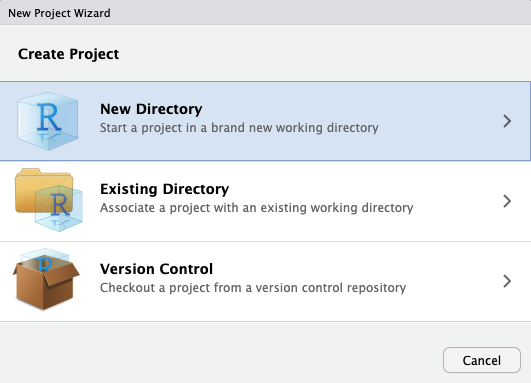 RStudio New Project Wizard, Create Project step, with New Directory selected.
